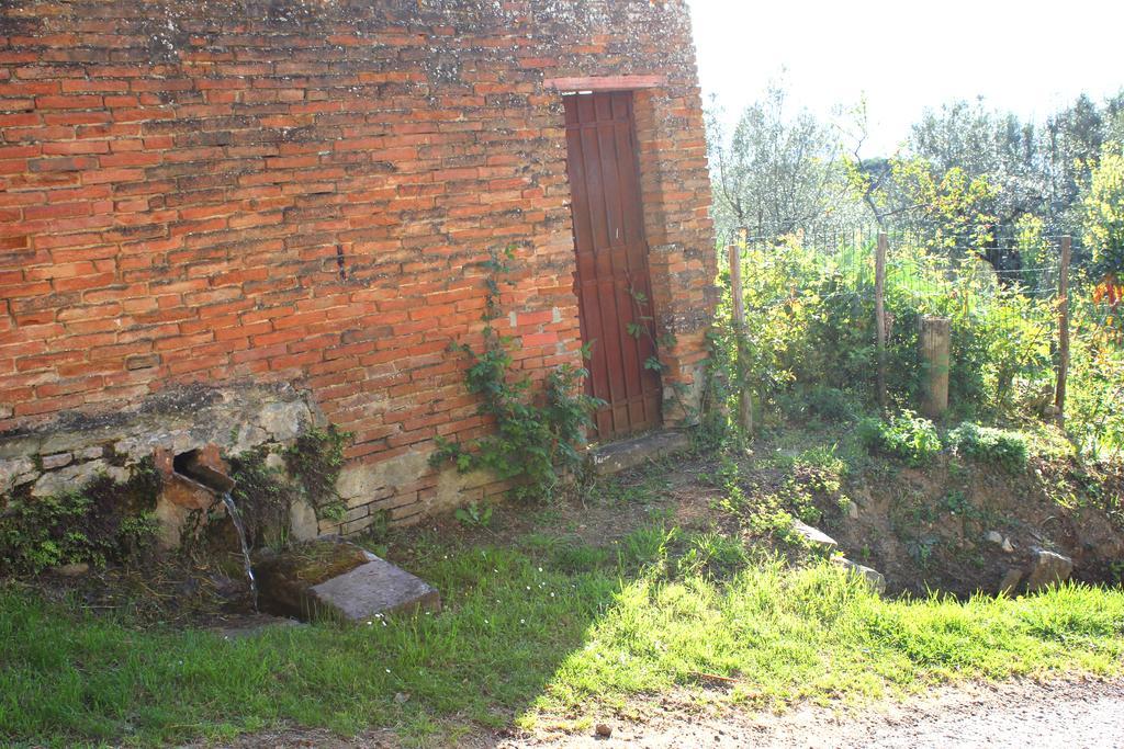 Fattoria La Tavernuzza Grassina Buitenkant foto