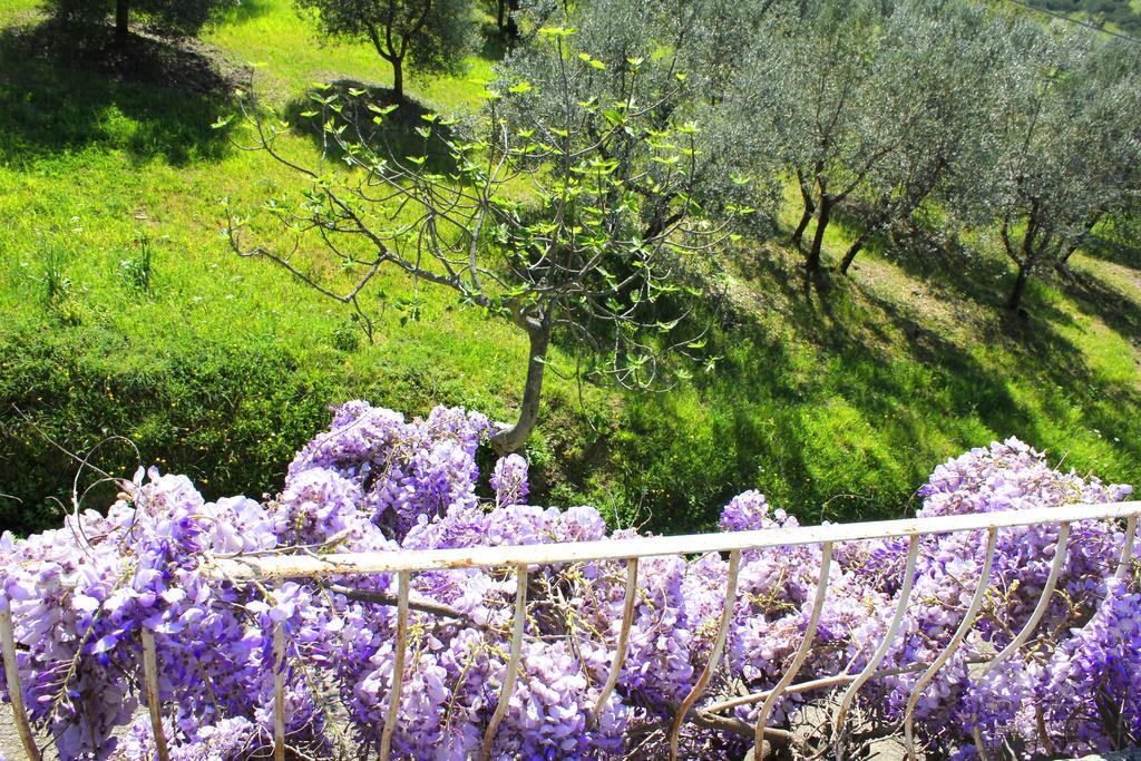 Fattoria La Tavernuzza Grassina Buitenkant foto