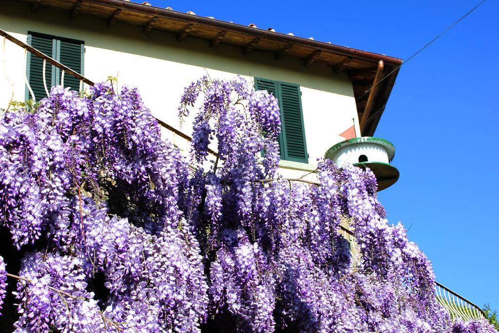 Fattoria La Tavernuzza Grassina Buitenkant foto