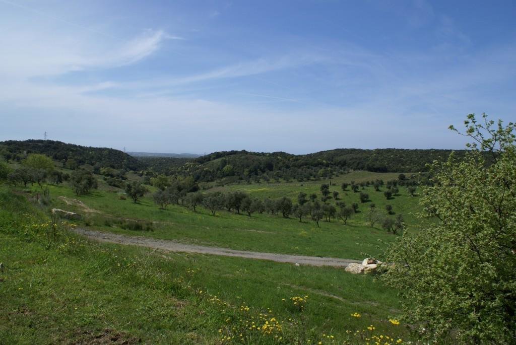 Fattoria La Tavernuzza Grassina Buitenkant foto